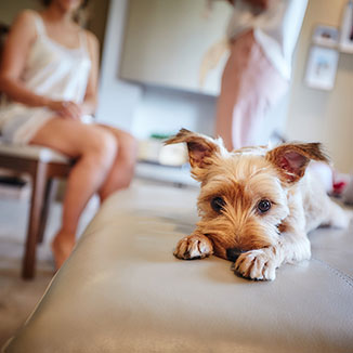 Ad ogni matrimonio il suo racconto fotografico